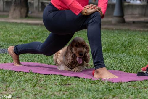 Yoga - 21-10-2018